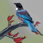 Bird Fables book cover